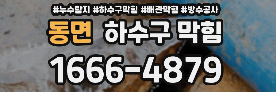 동면 하수구 막힘