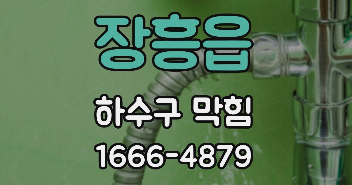 장흥읍 하수구 막힘