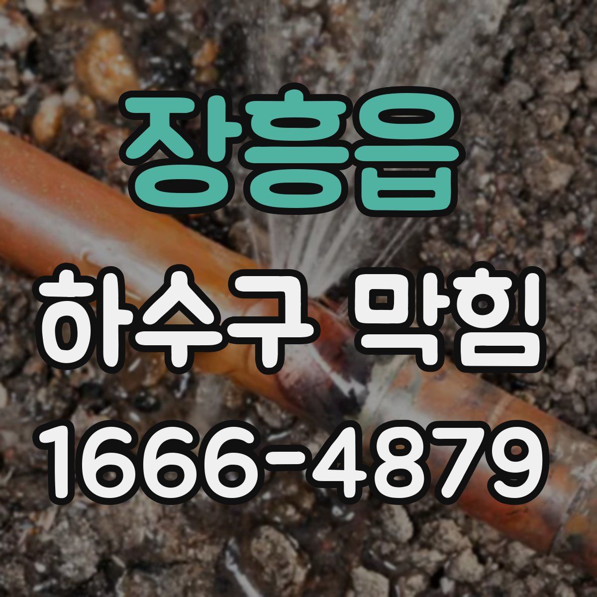 장흥읍 하수구 막힘