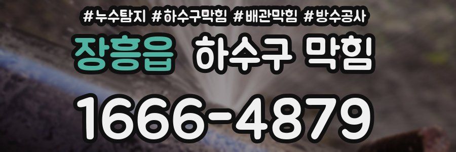 장흥읍 하수구 막힘