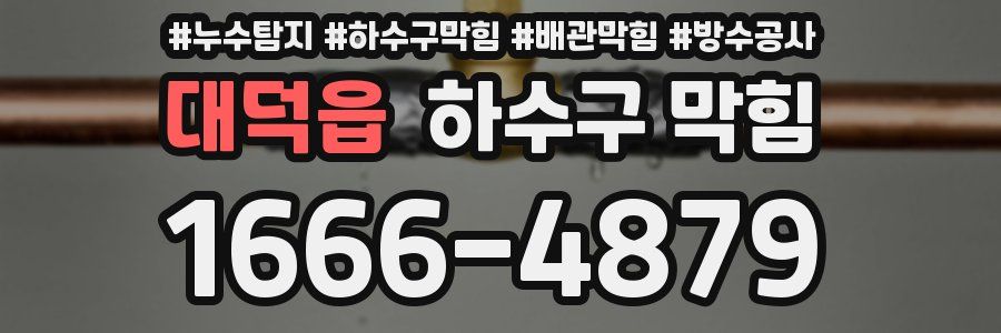 대덕읍 하수구 막힘