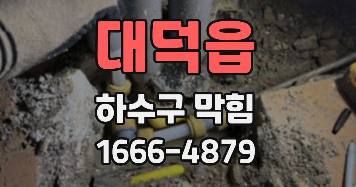 대덕읍 하수구 막힘