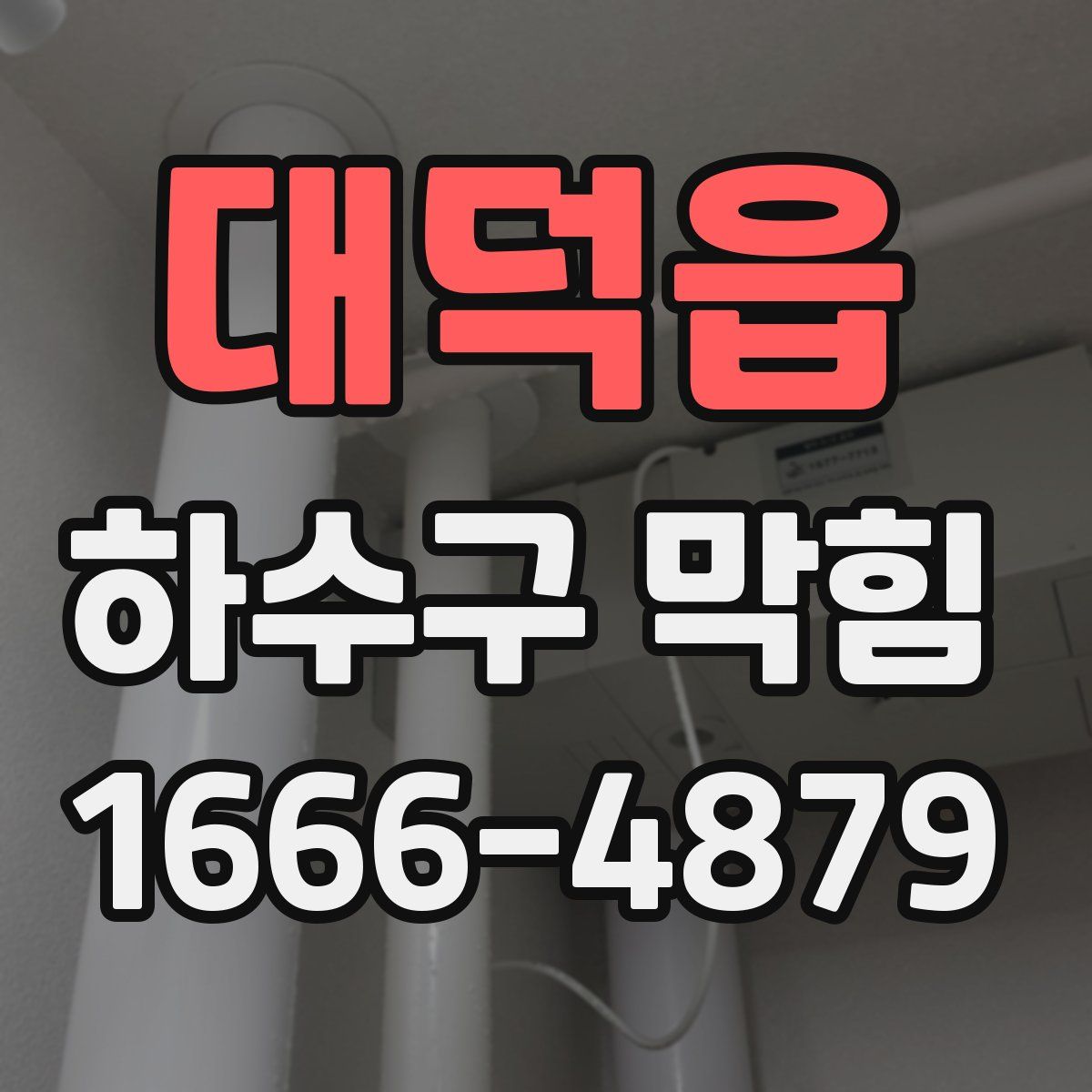 대덕읍 하수구 막힘