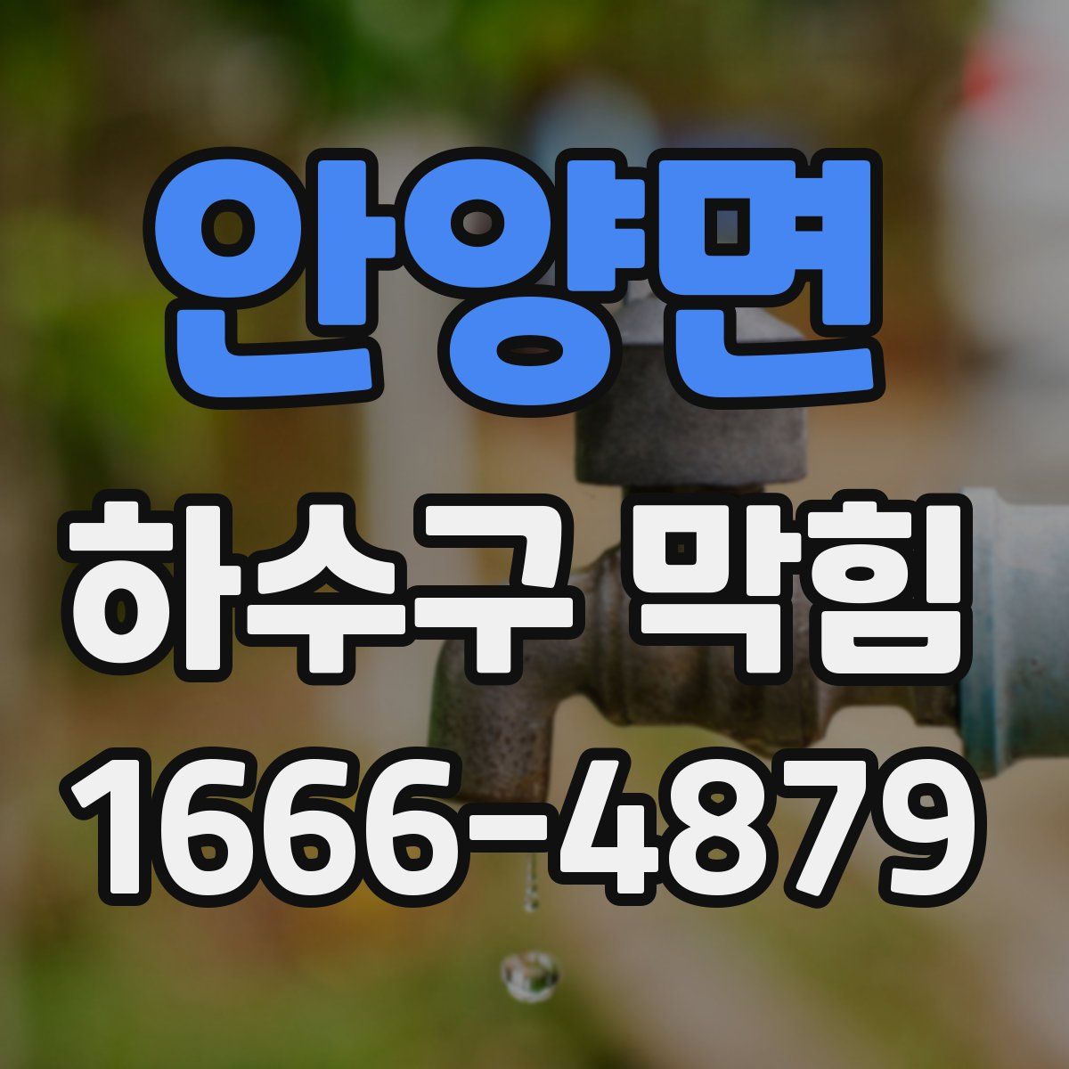 안양면 하수구 막힘