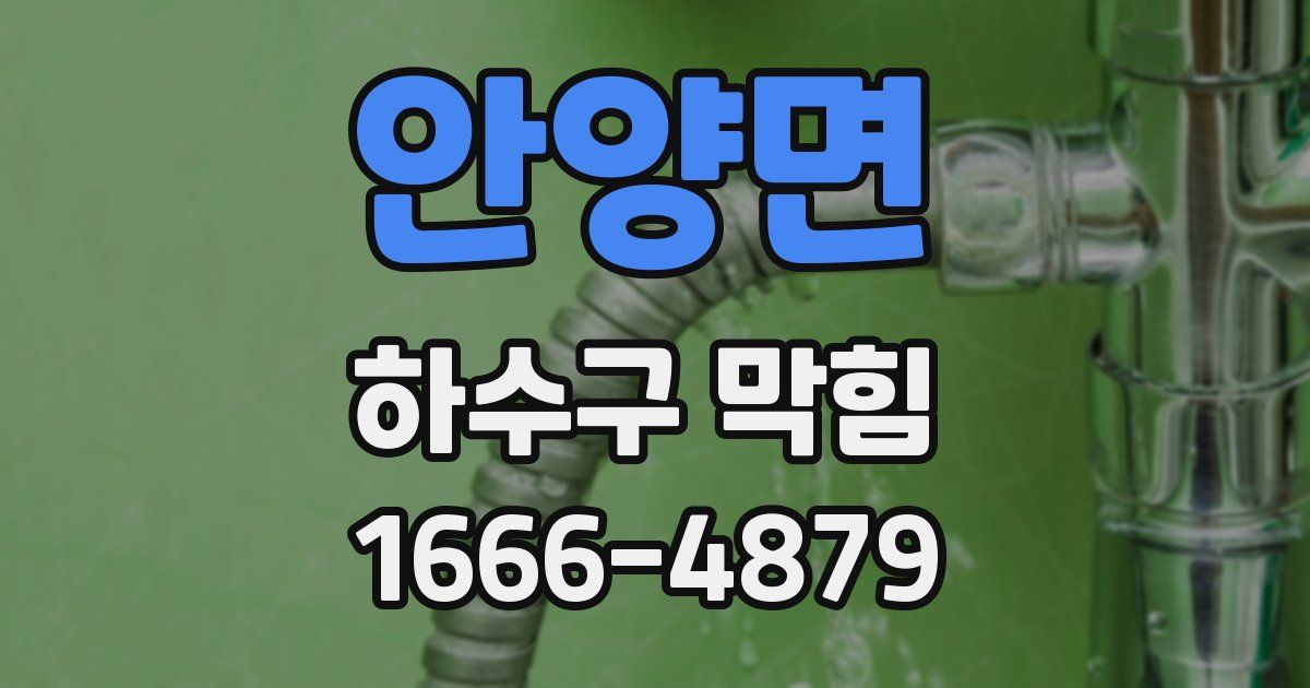 안양면 하수구 막힘