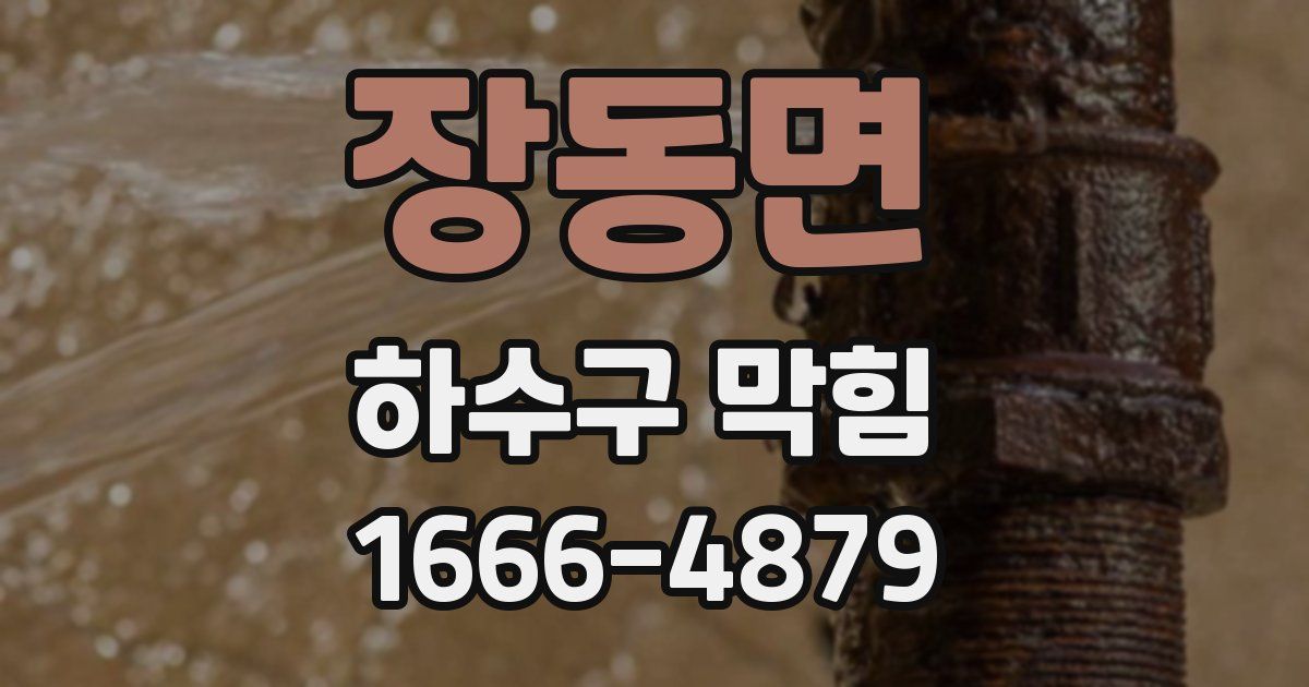장동면 하수구 막힘