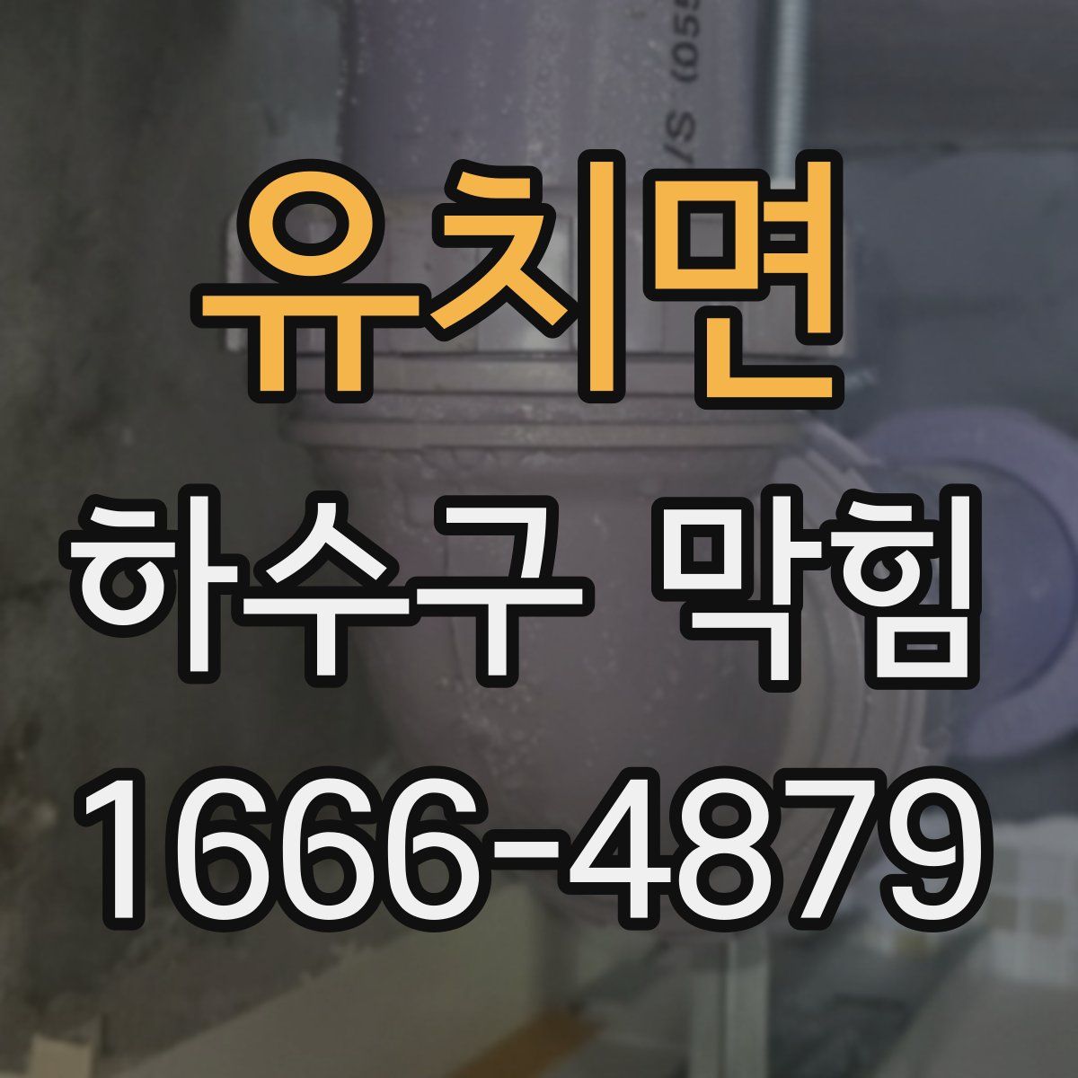 유치면 하수구 막힘