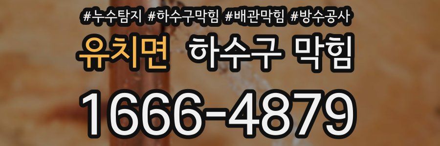 유치면 하수구 막힘