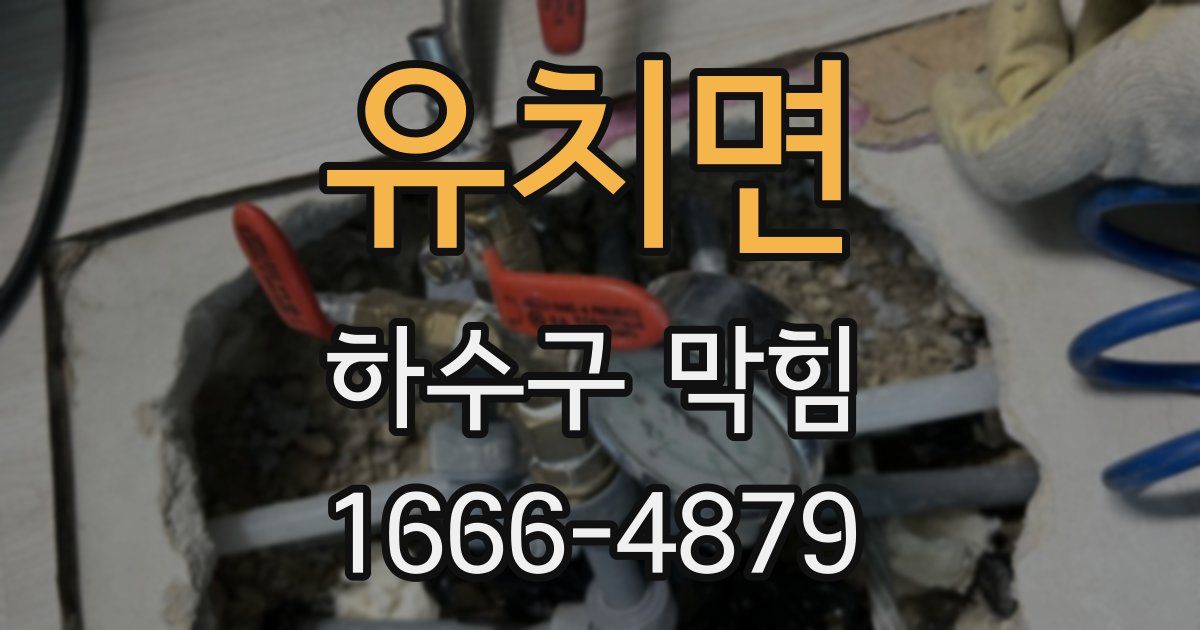 유치면 하수구 막힘