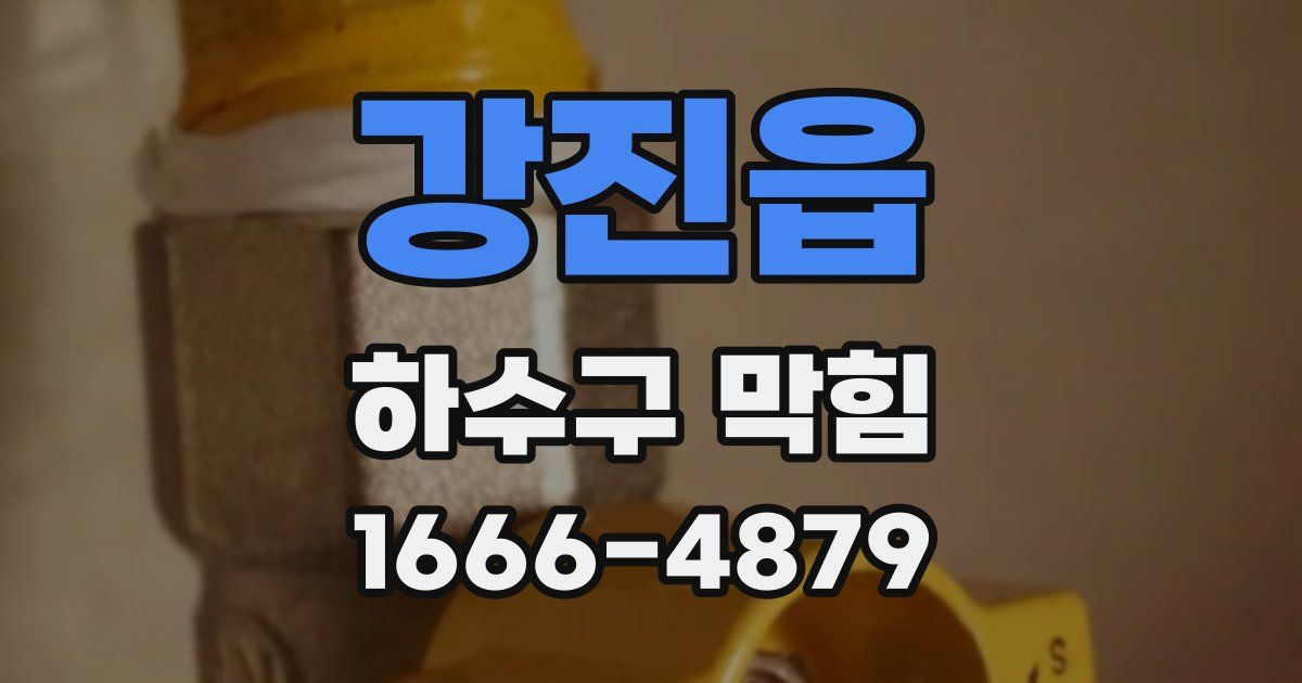 강진읍 하수구 막힘