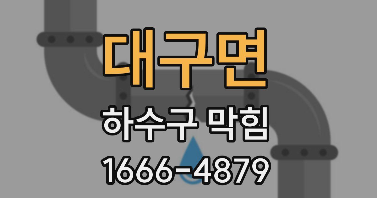 대구면 하수구 막힘