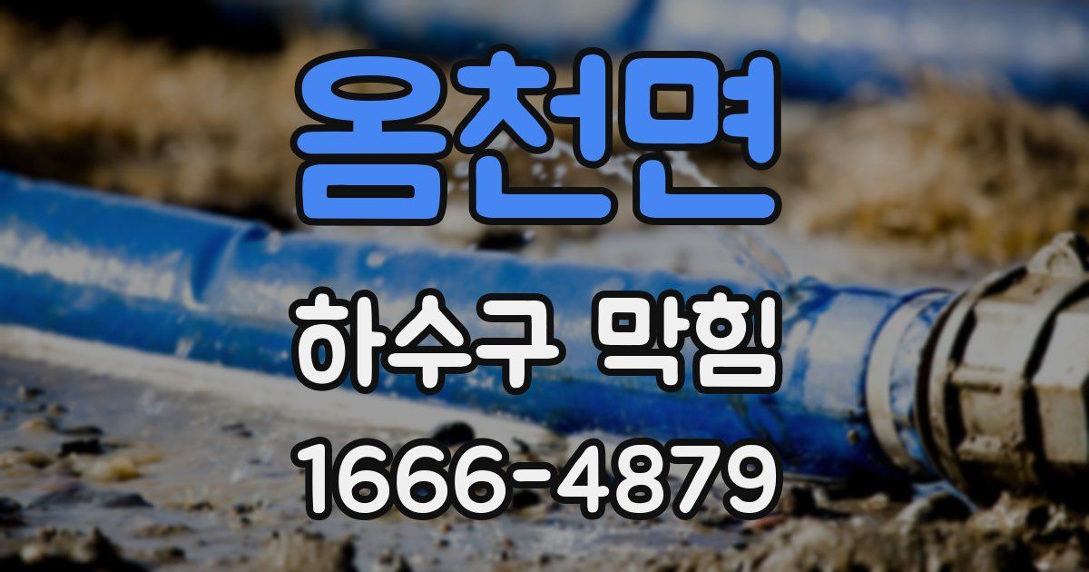 옴천면 하수구 막힘