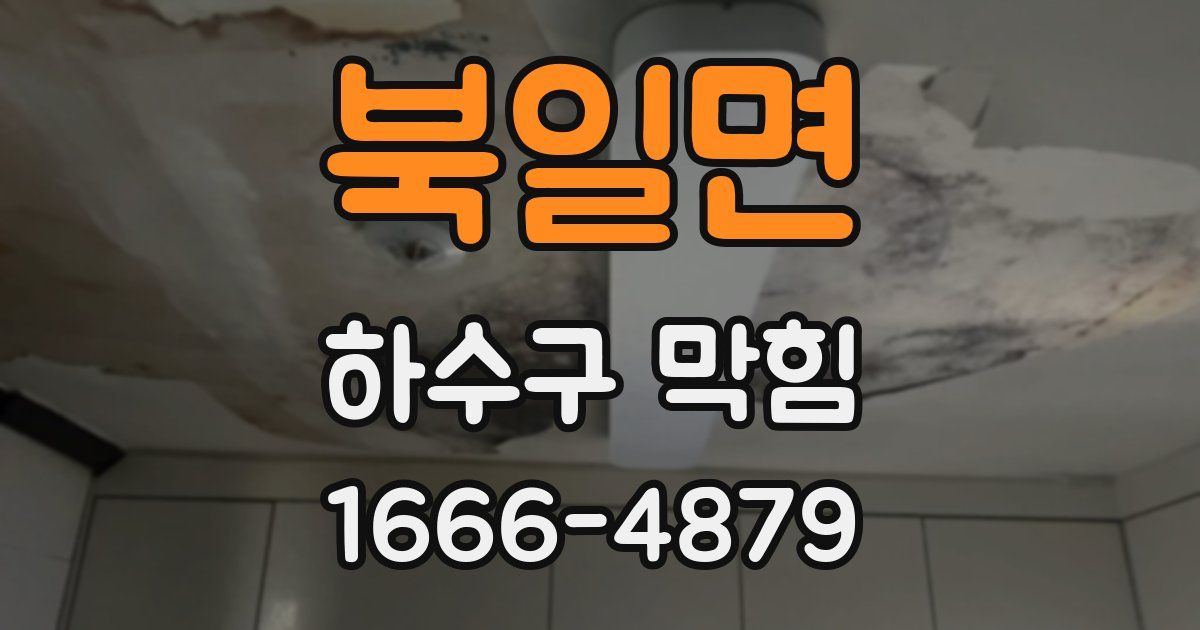 북일면 하수구 막힘