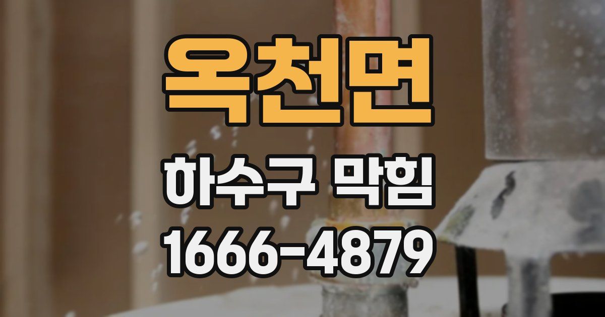 옥천면 하수구 막힘