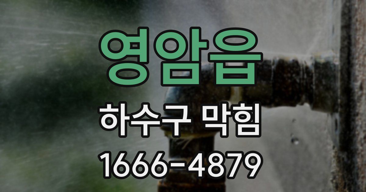 영암읍 하수구 막힘