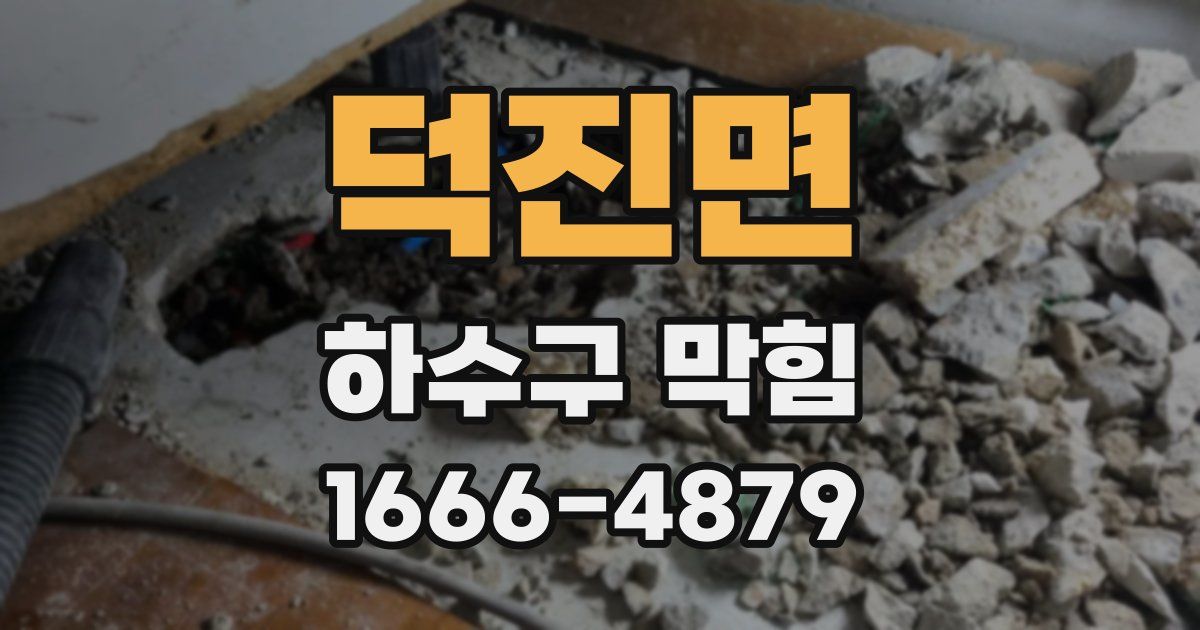 덕진면 하수구 막힘