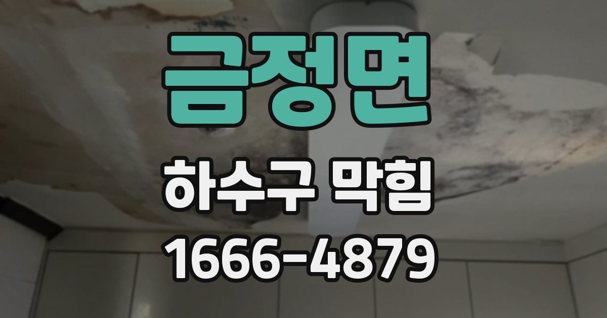 금정면 하수구 막힘
