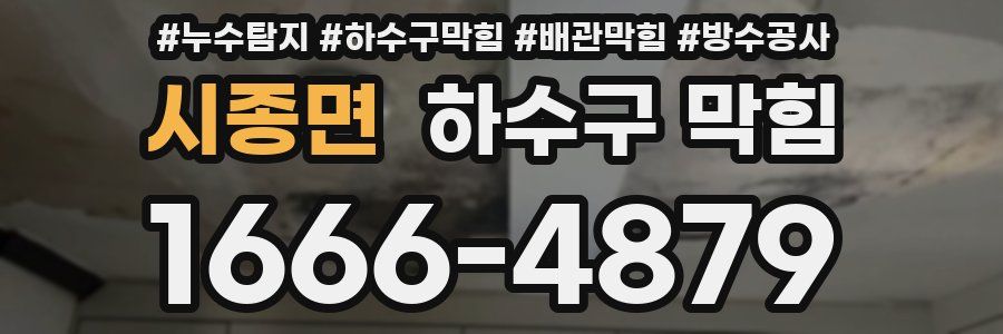 시종면 하수구 막힘