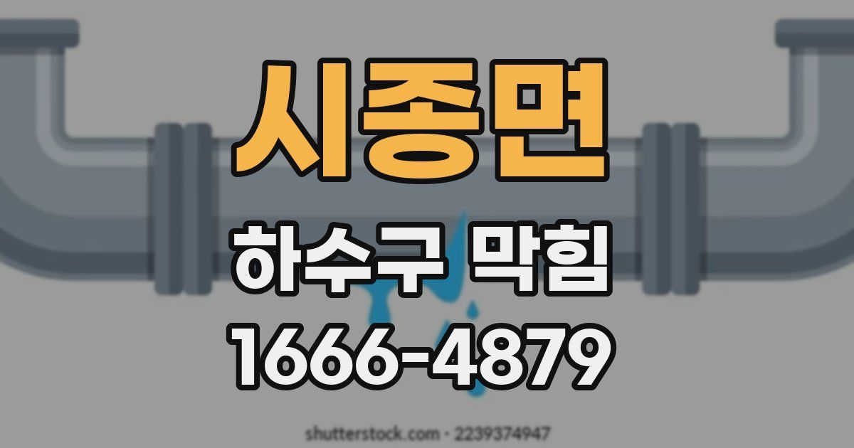 시종면 하수구 막힘