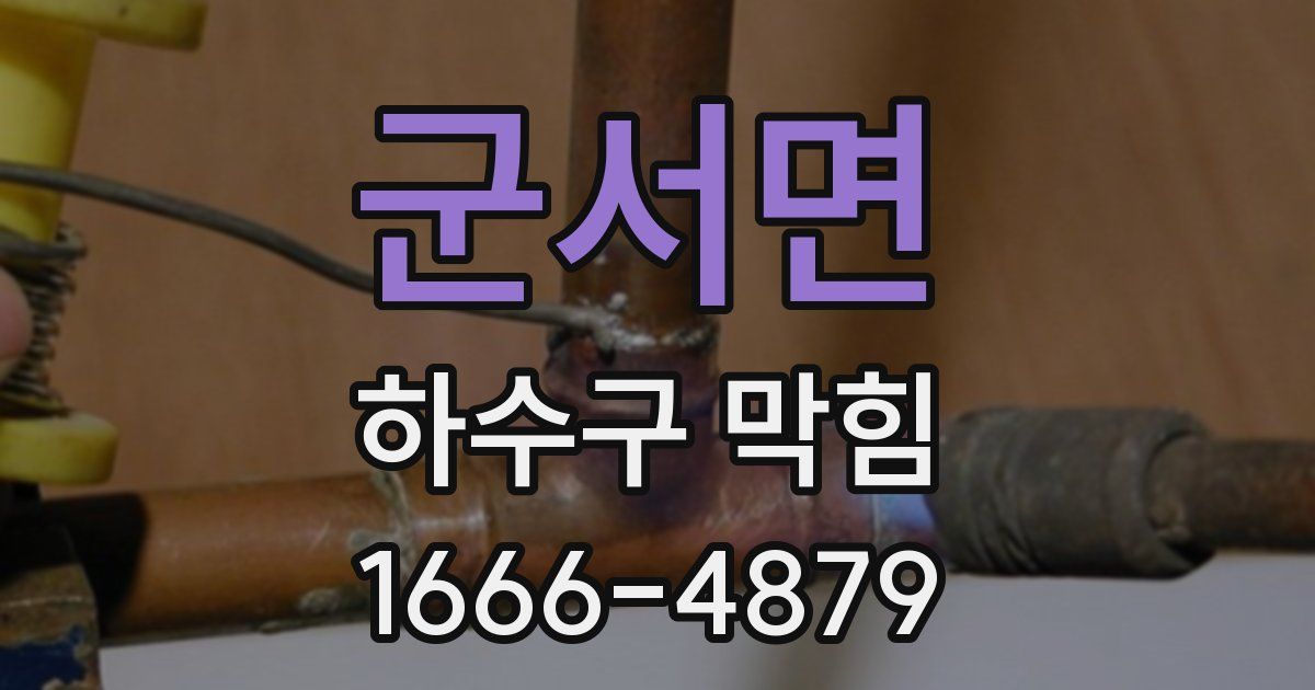 군서면 하수구 막힘