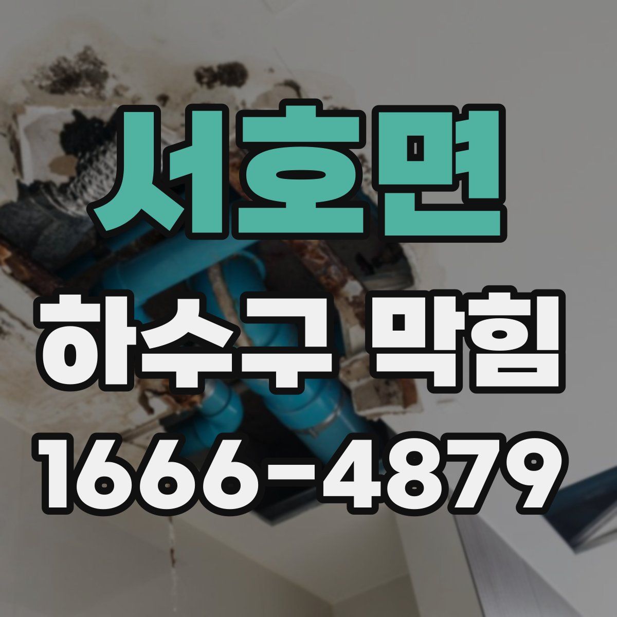 서호면 하수구 막힘