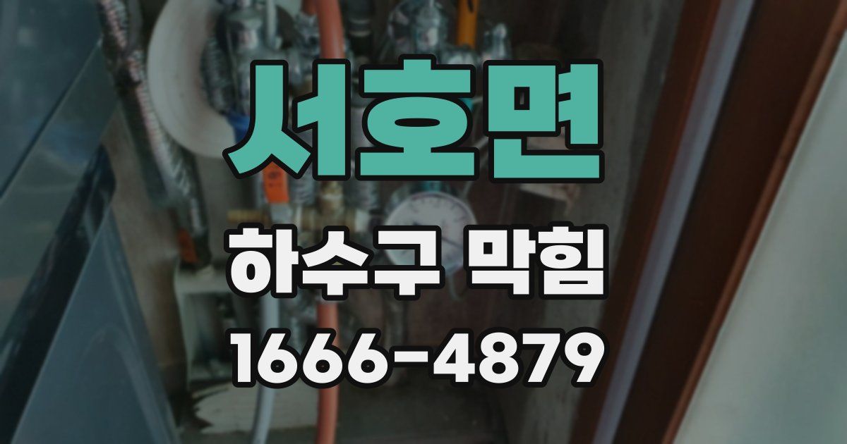서호면 하수구 막힘