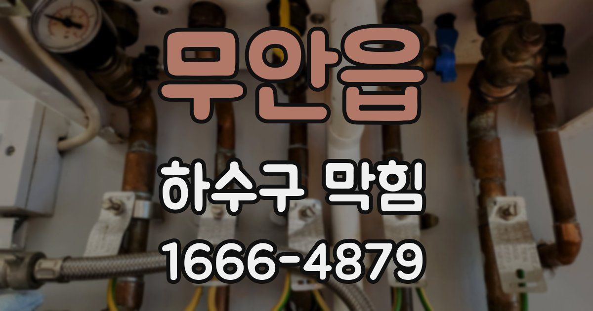 무안읍 하수구 막힘