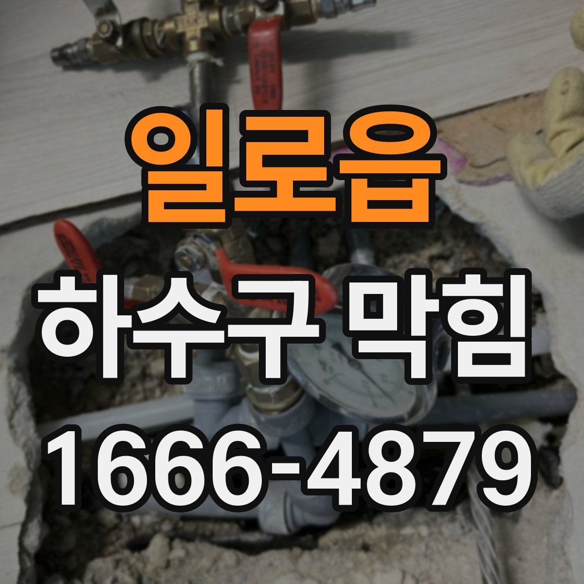 일로읍 하수구 막힘