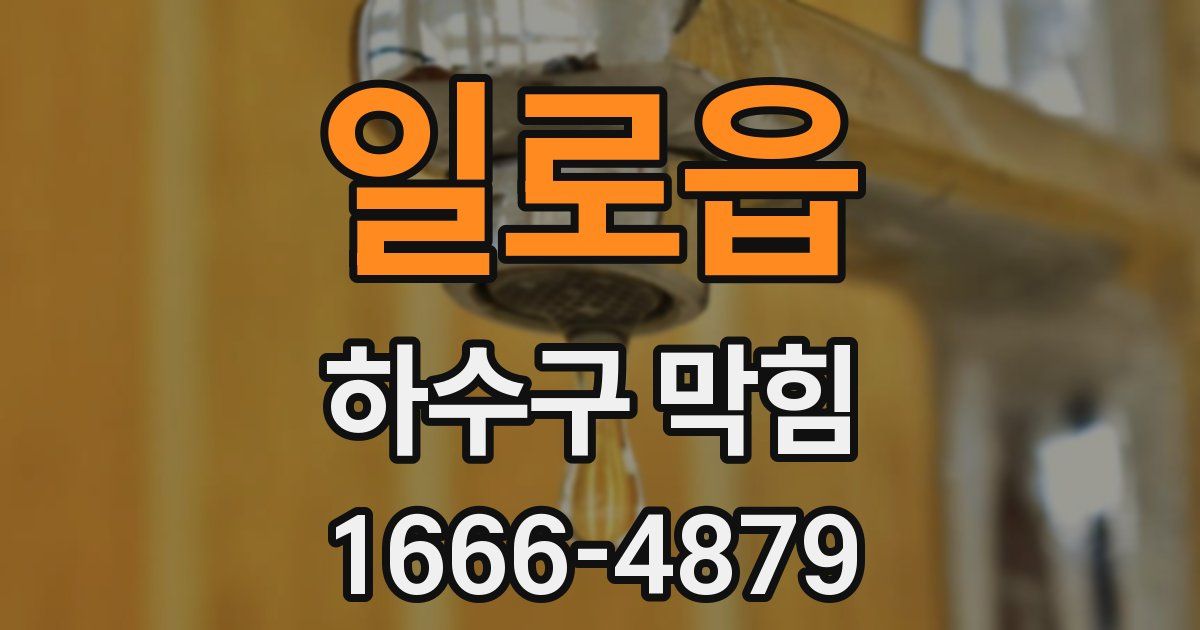 일로읍 하수구 막힘