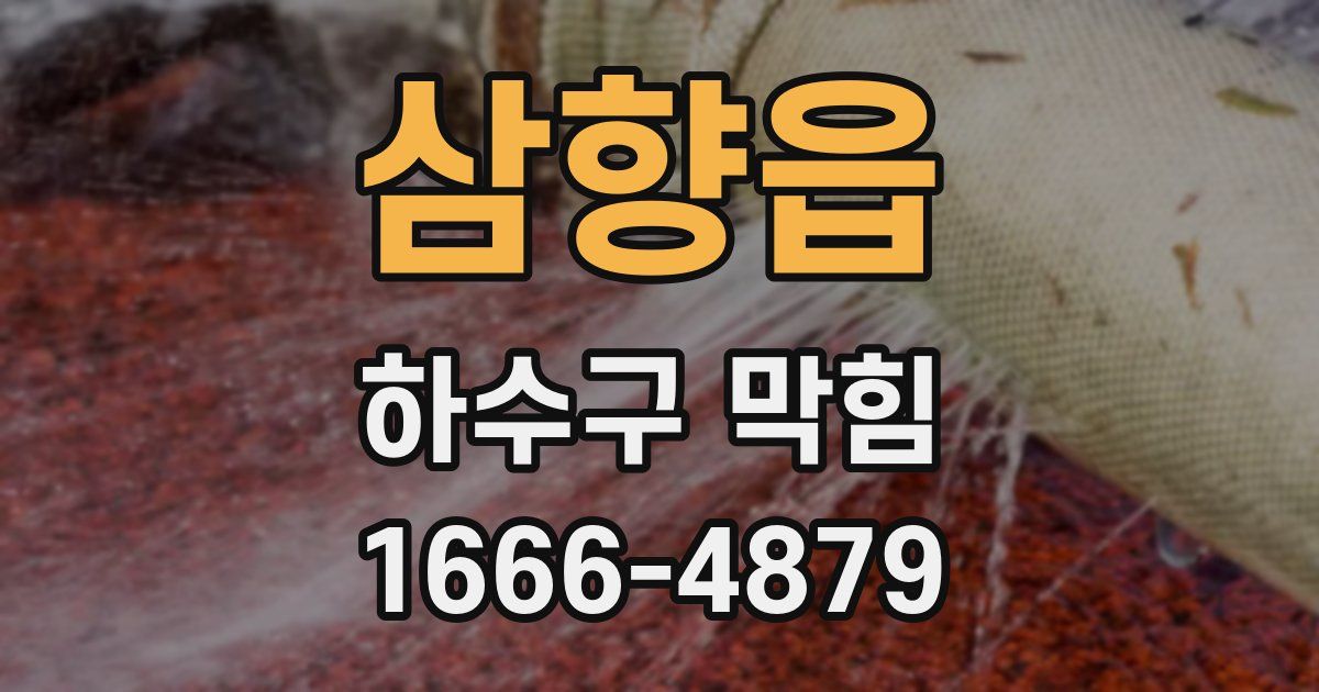 삼향읍 하수구 막힘