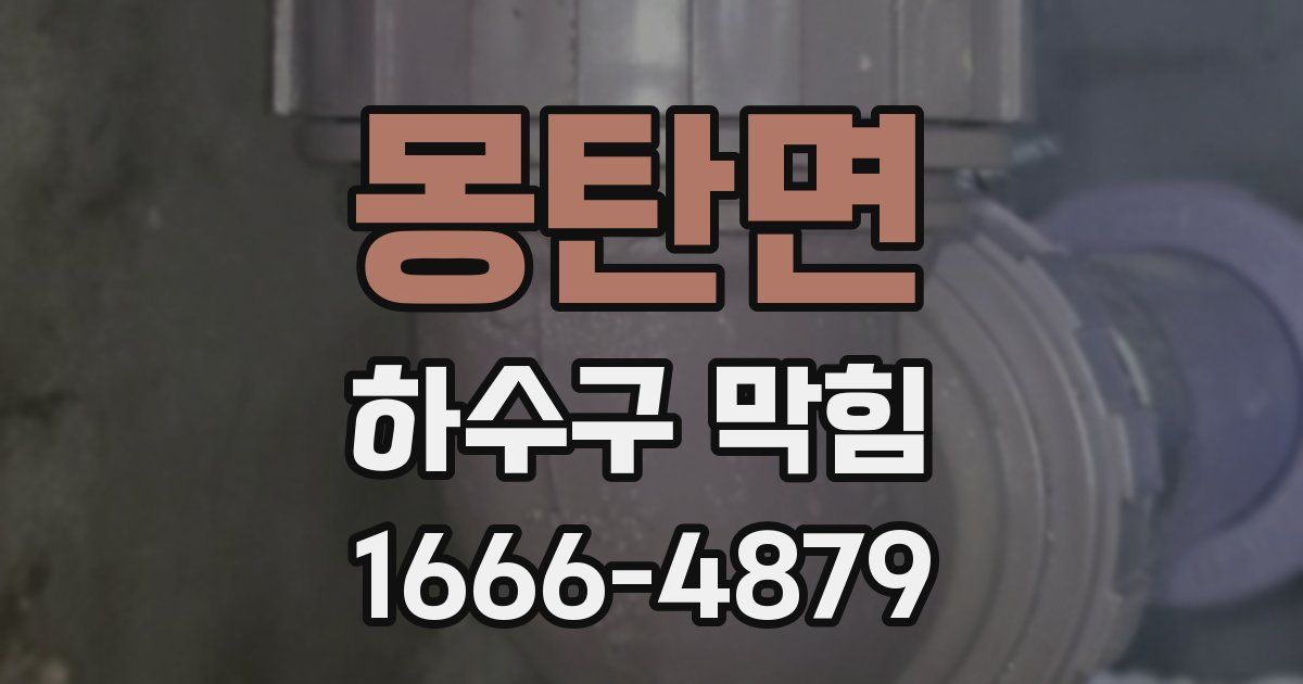 몽탄면 하수구 막힘