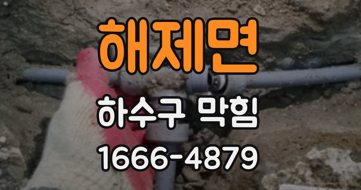 해제면 하수구 막힘