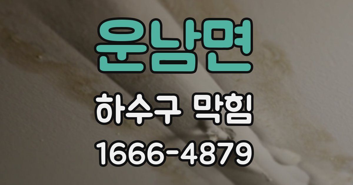 운남면 하수구 막힘