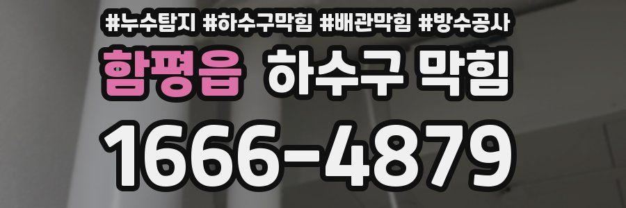 함평읍 하수구 막힘