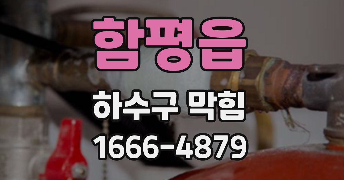 함평읍 하수구 막힘