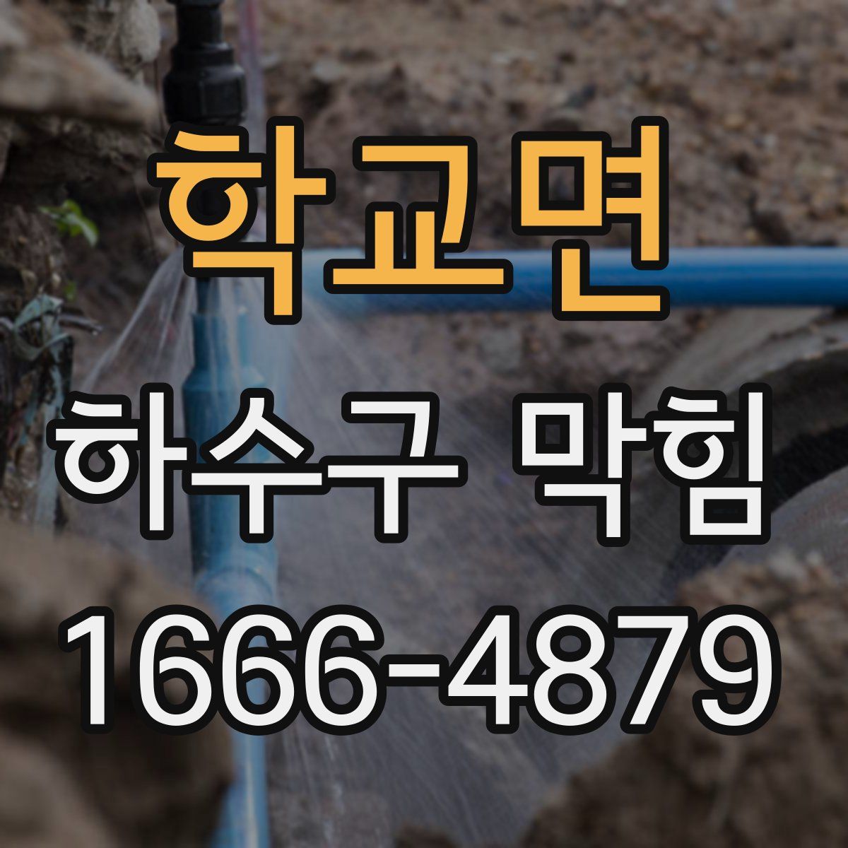 학교면 하수구 막힘