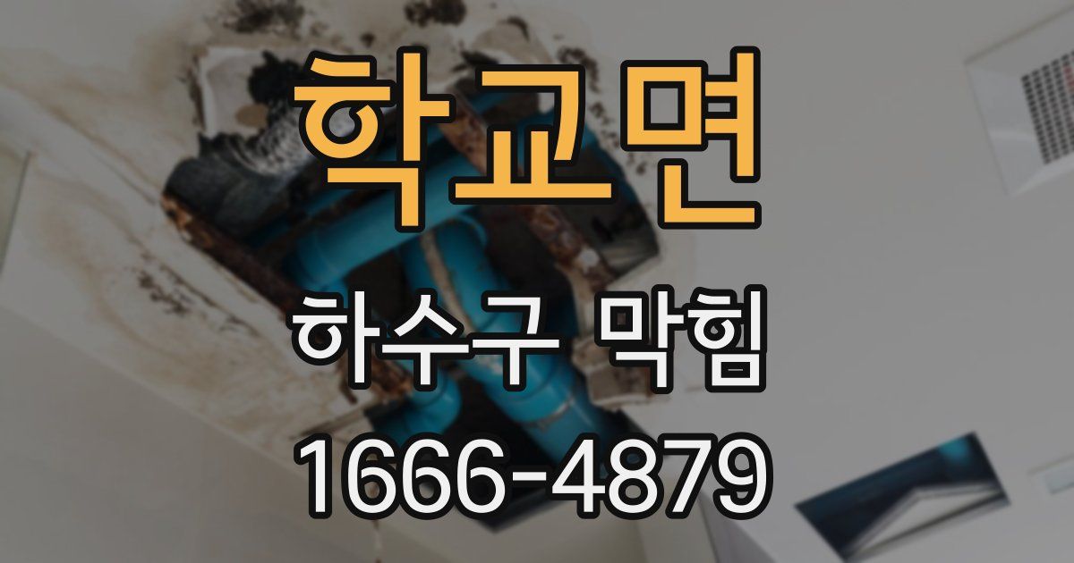 학교면 하수구 막힘
