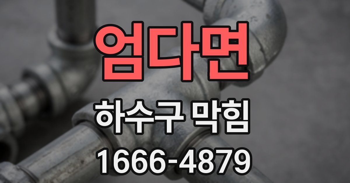 엄다면 하수구 막힘