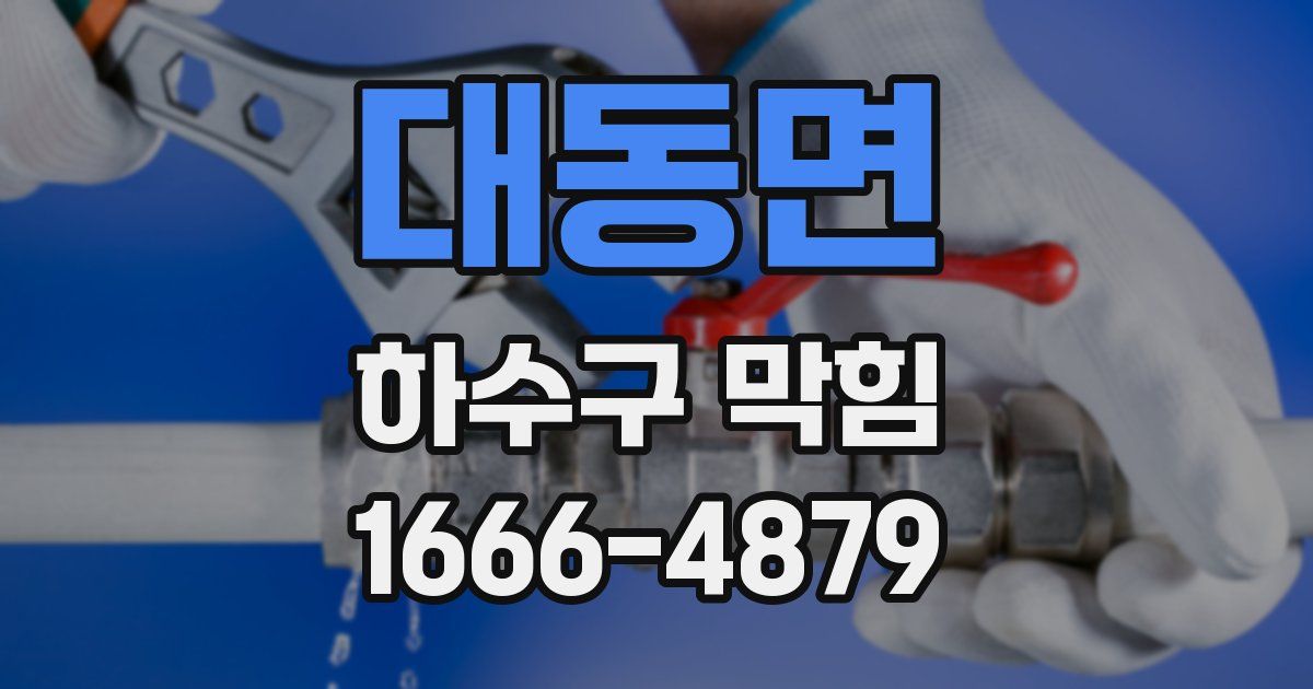 대동면 하수구 막힘