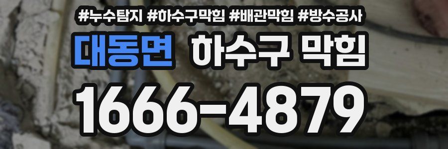 대동면 하수구 막힘