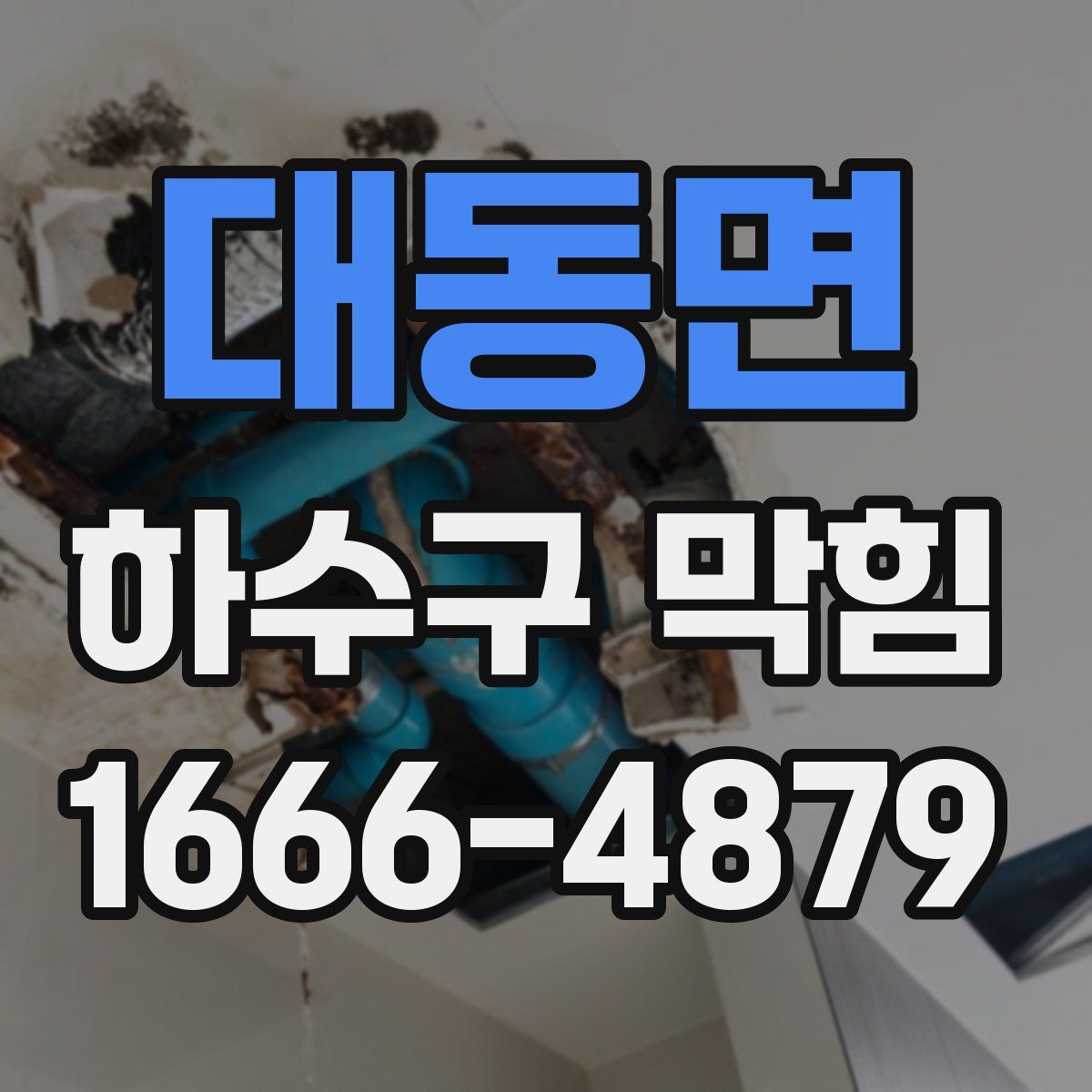 대동면 하수구 막힘