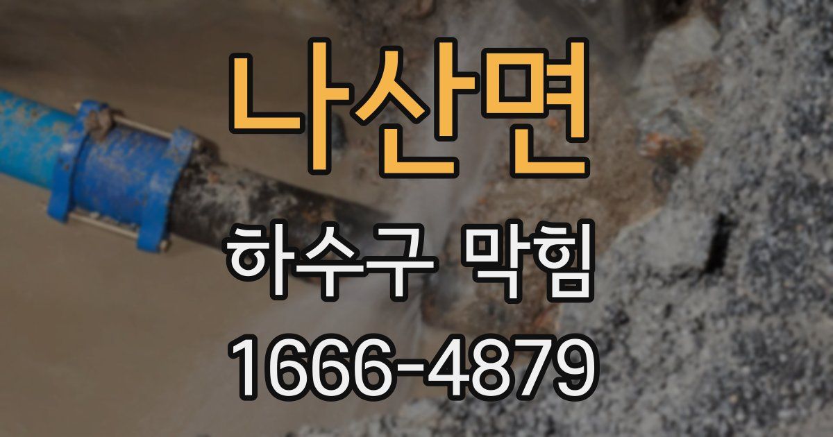 나산면 하수구 막힘