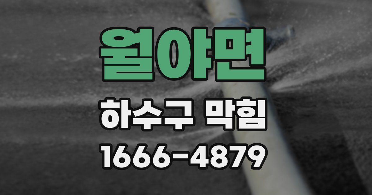월야면 하수구 막힘