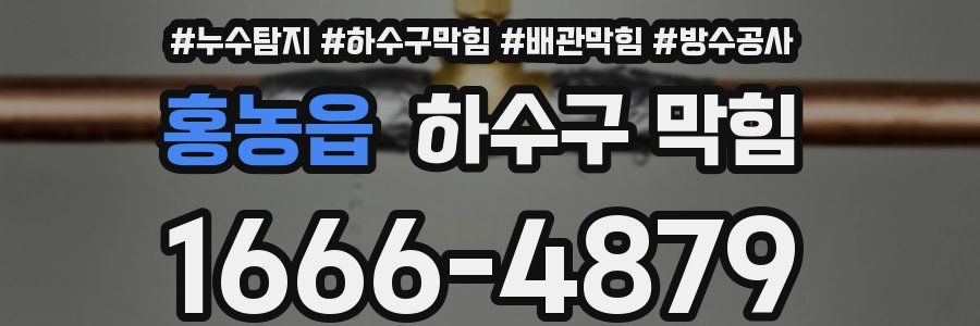홍농읍 하수구 막힘