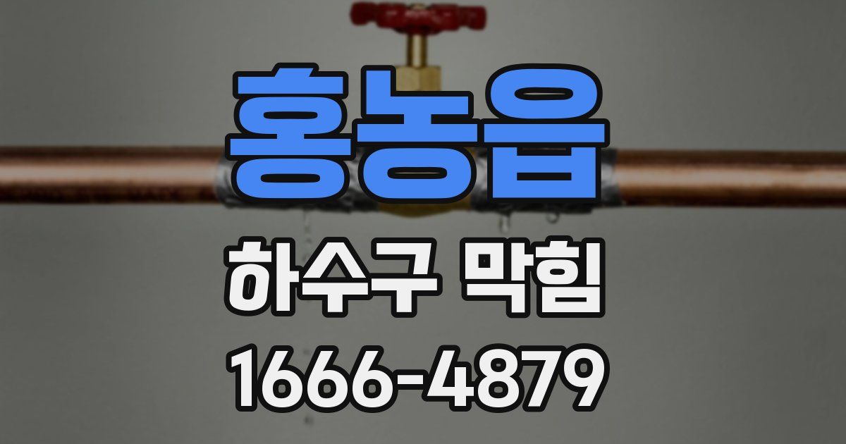 홍농읍 하수구 막힘