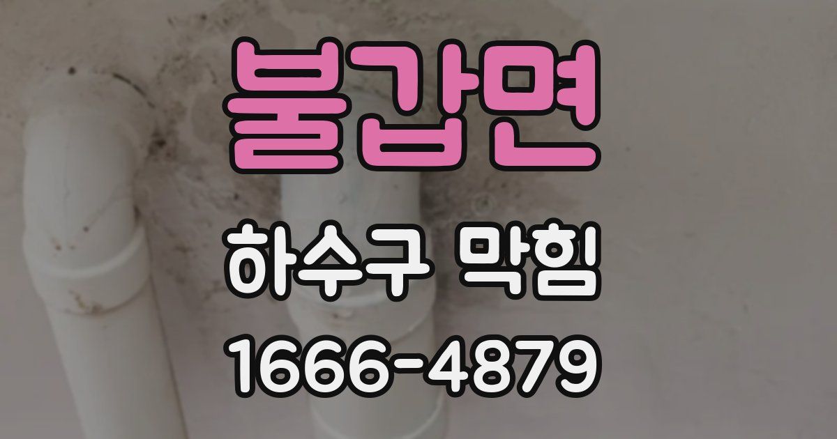 불갑면 하수구 막힘
