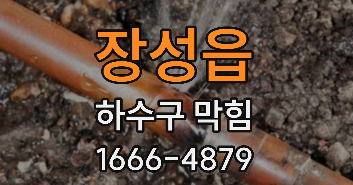 장성읍 하수구 막힘