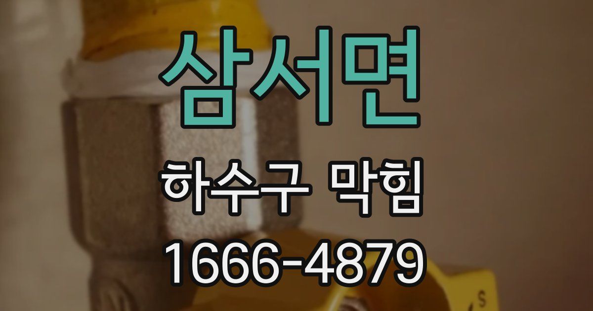 삼서면 하수구 막힘