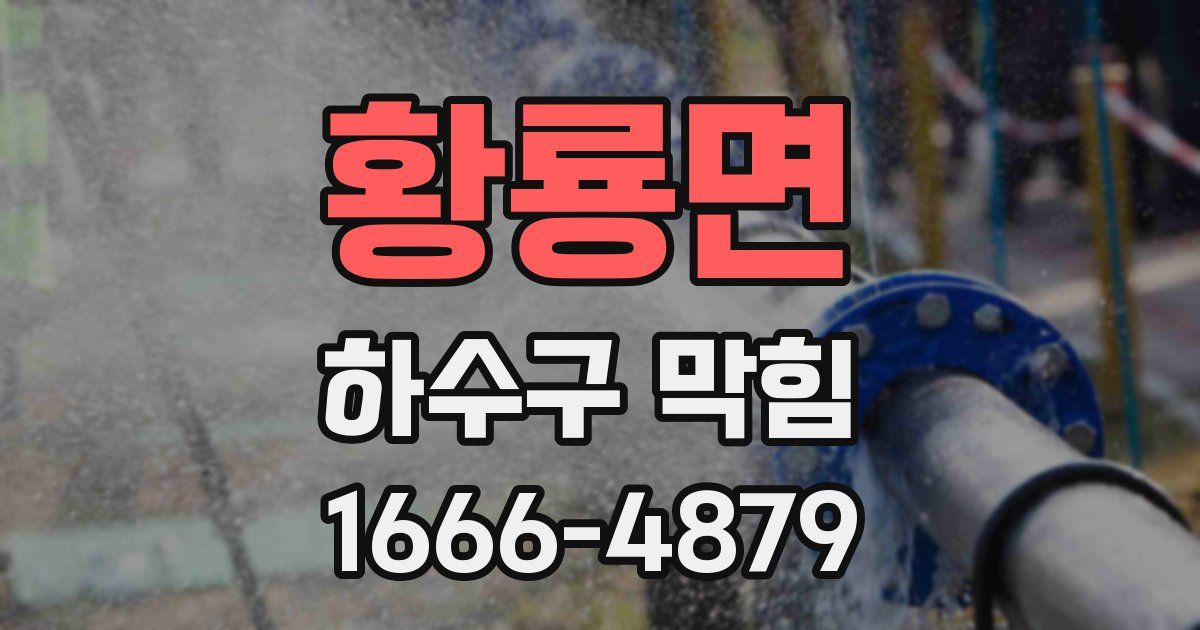 황룡면 하수구 막힘