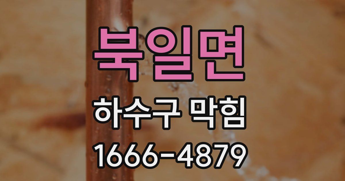 북일면 하수구 막힘